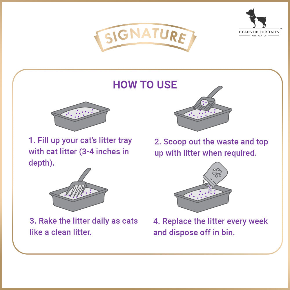 Signature Grain Zero Cat Litter - For All Cats And Small Animals - 8 kg