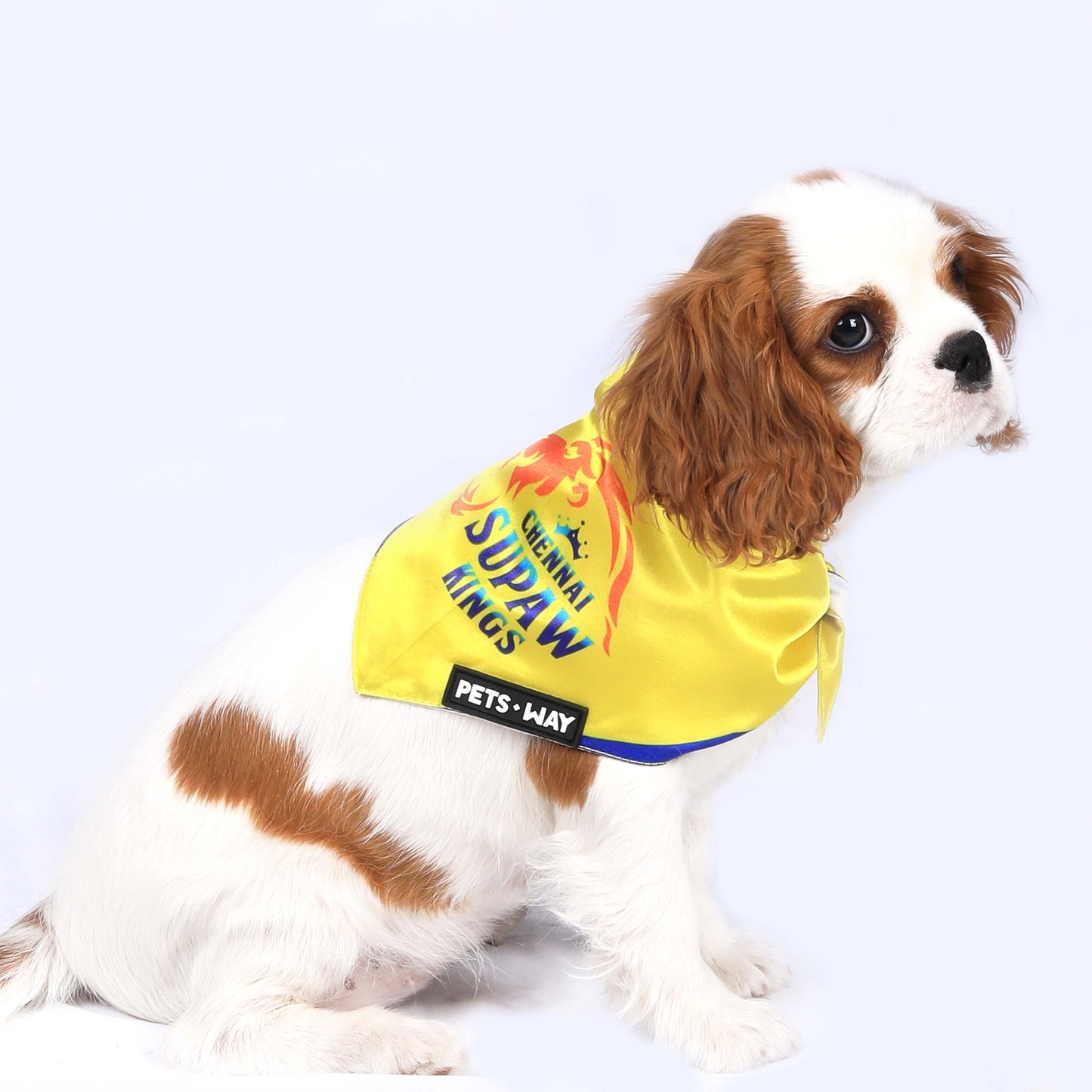 CSK IPL Bandanas
