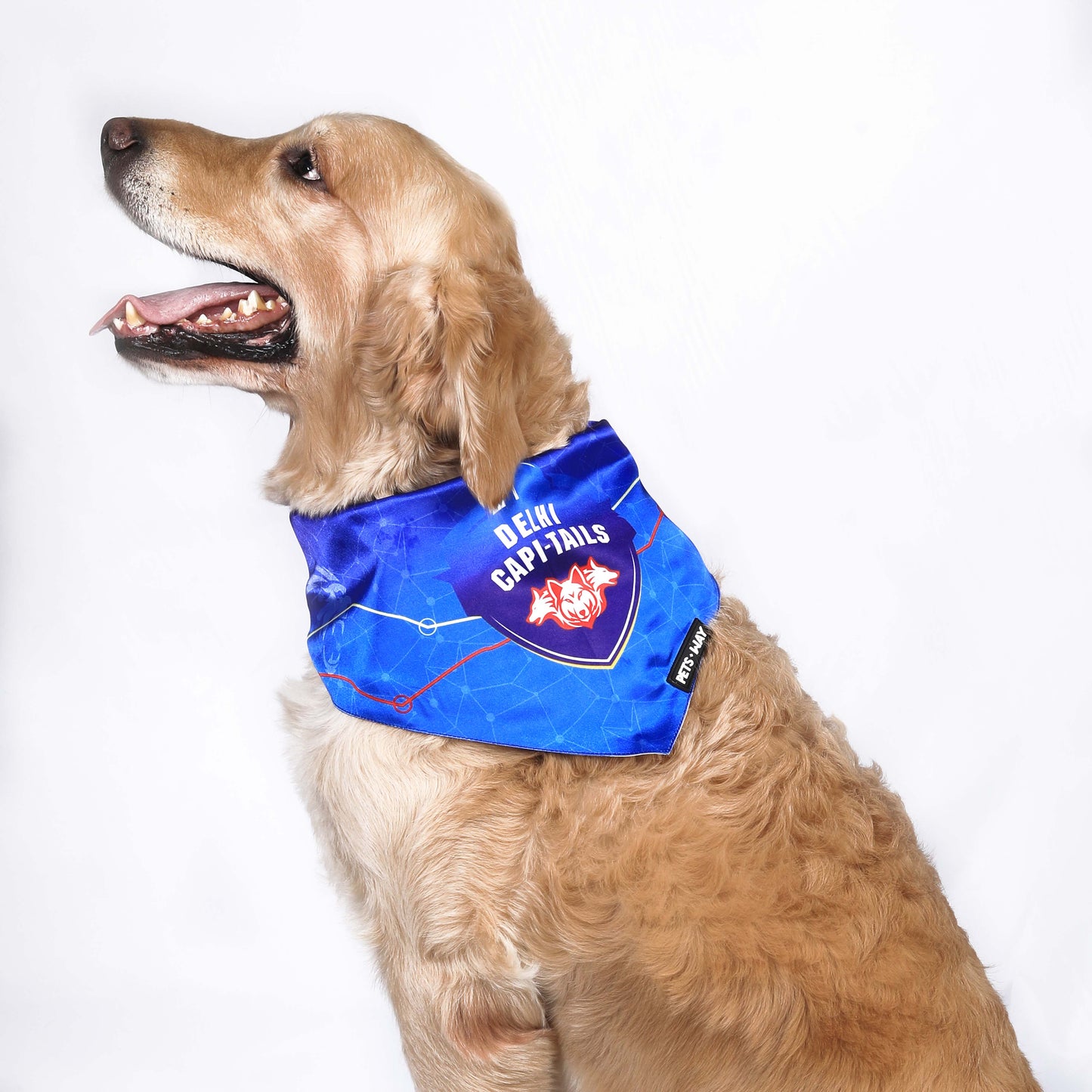 DELHI IPL Bandanas
