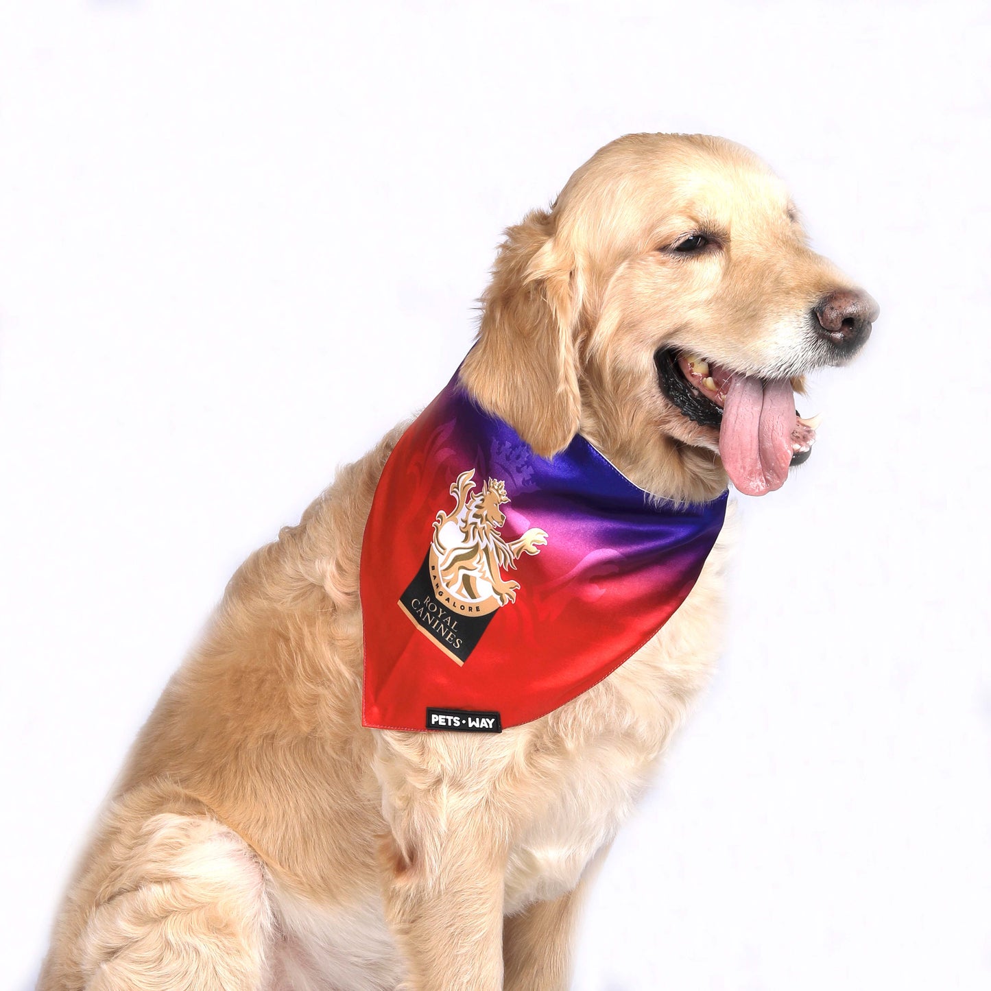 RCB IPL Bandanas