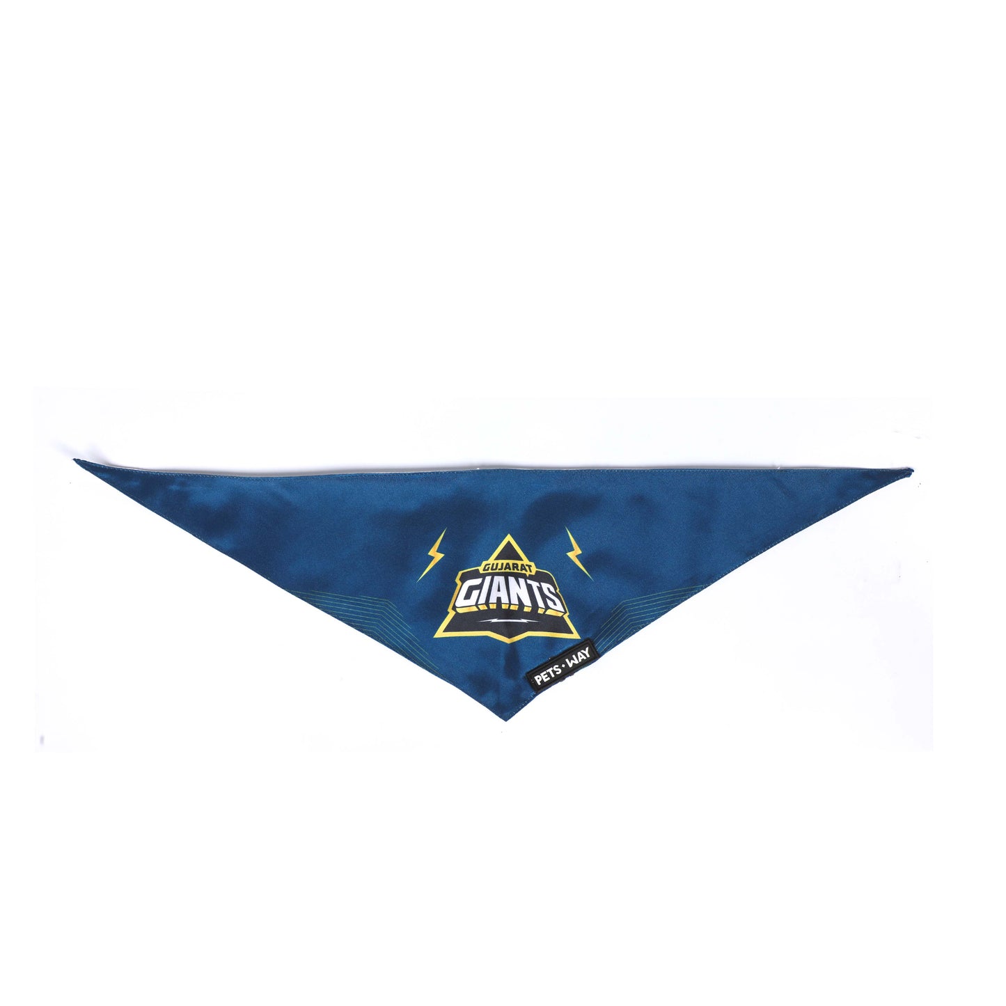Gujarat IPL Bandanas