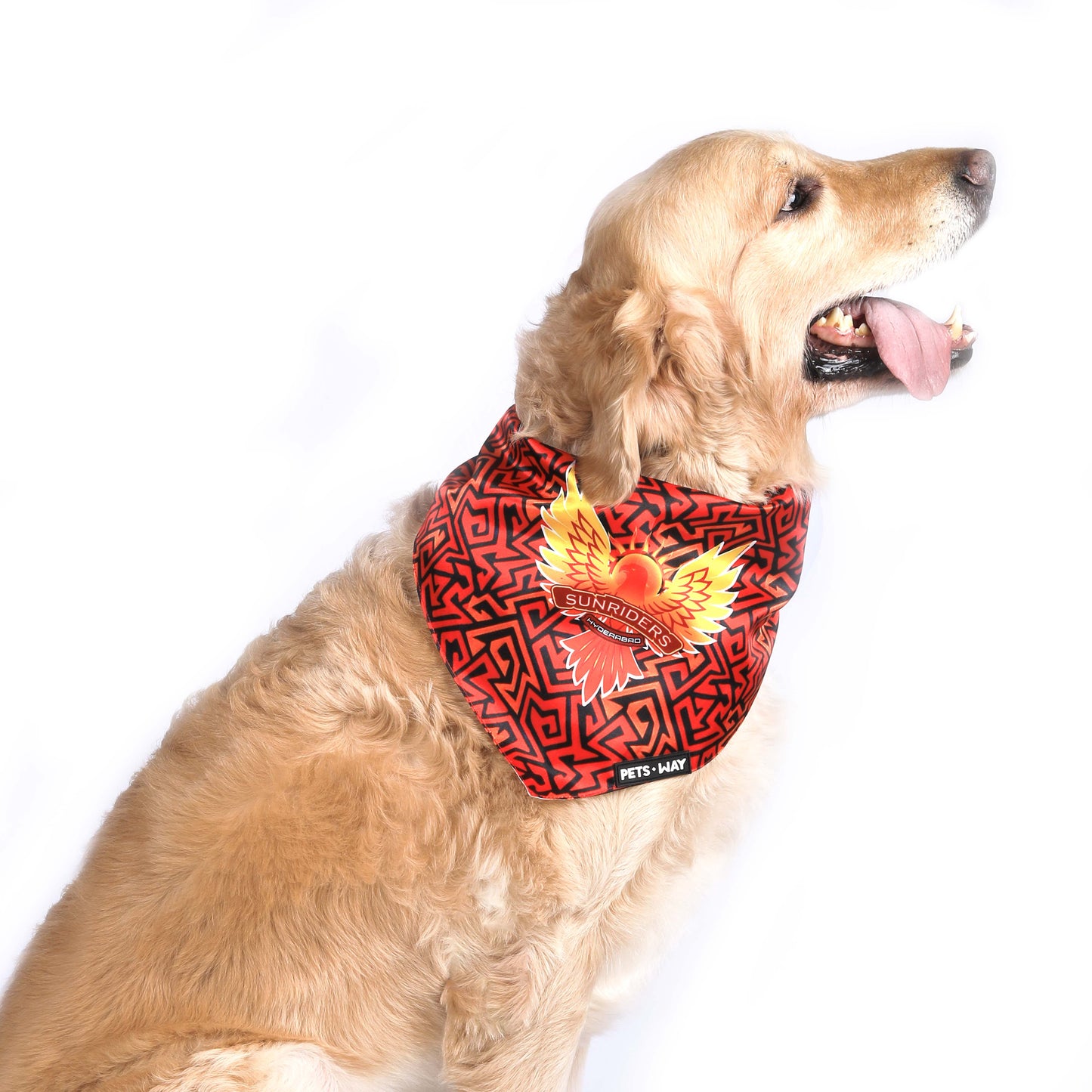 Hyderabad IPL Bandanas