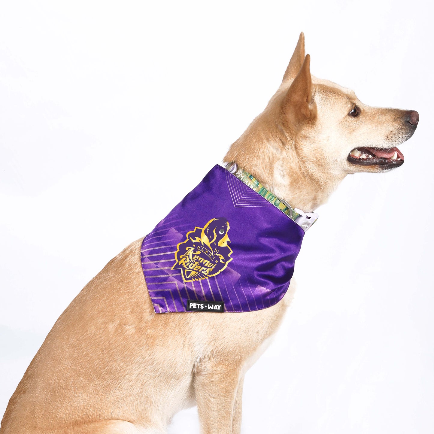 Kolkata Kennel Riders (KKR) IPL Bandanas