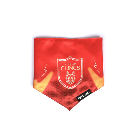 Punjab Kings IPL Bandanas