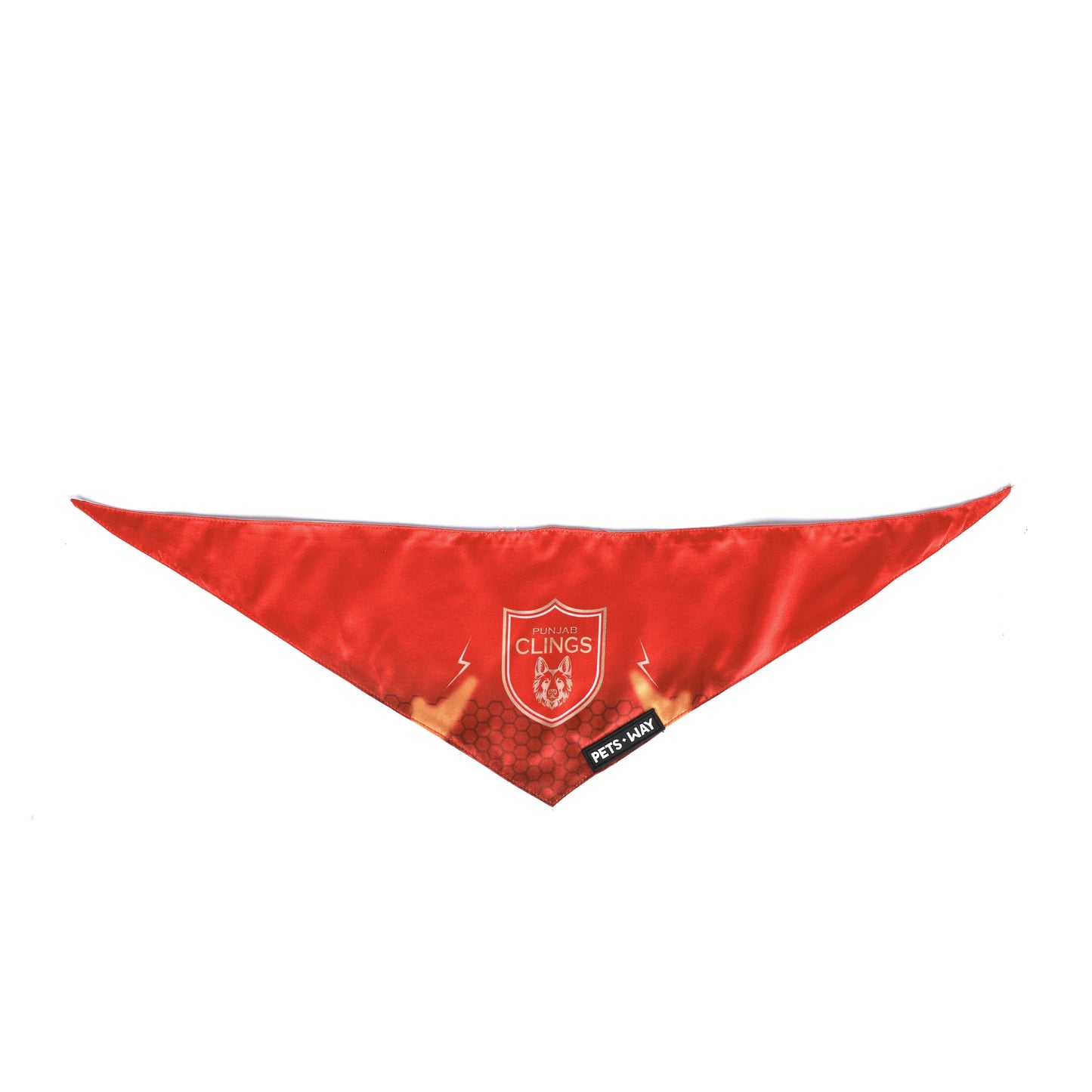 Punjab Kings IPL Bandanas