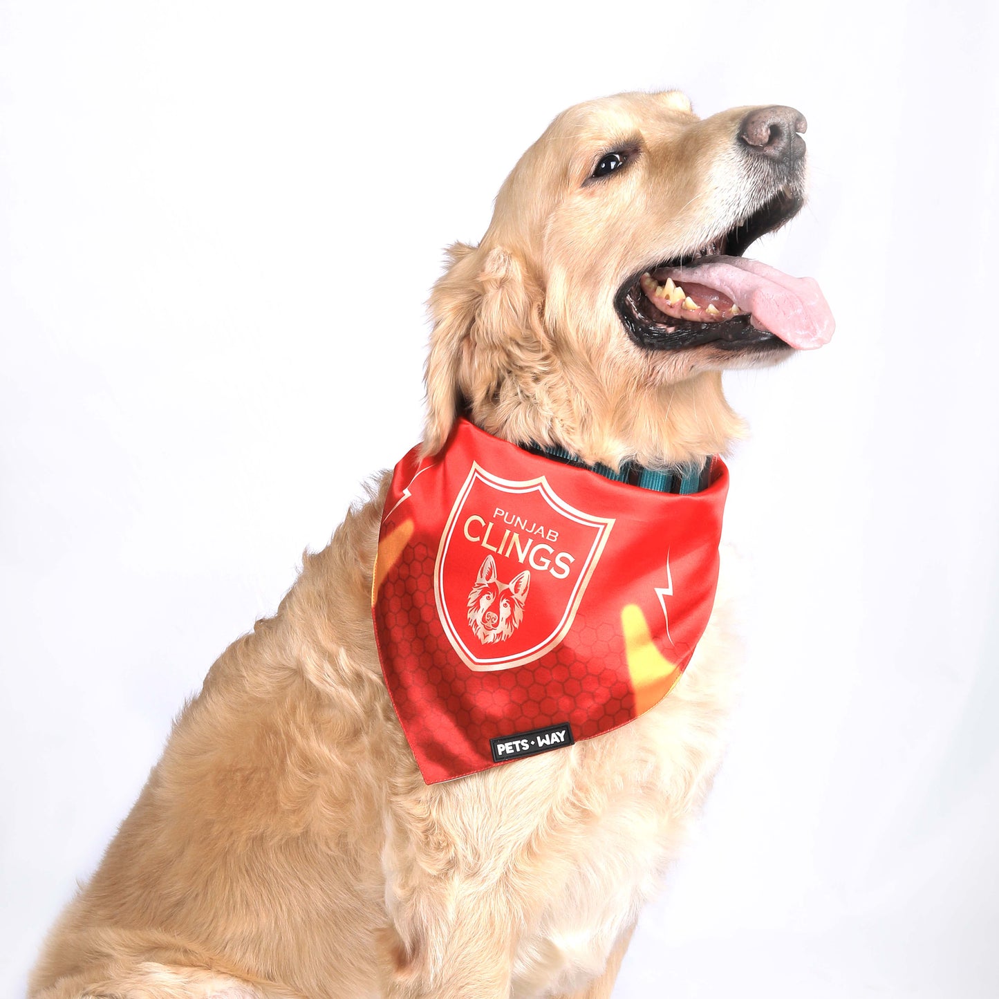 Punjab Kings IPL Bandanas