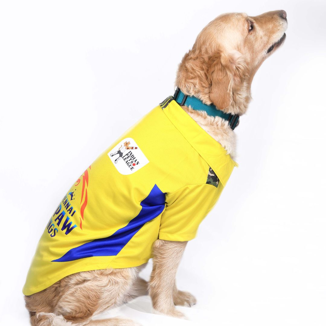 Chennai Supaw Kings (CSK) IPL Dog Jersey