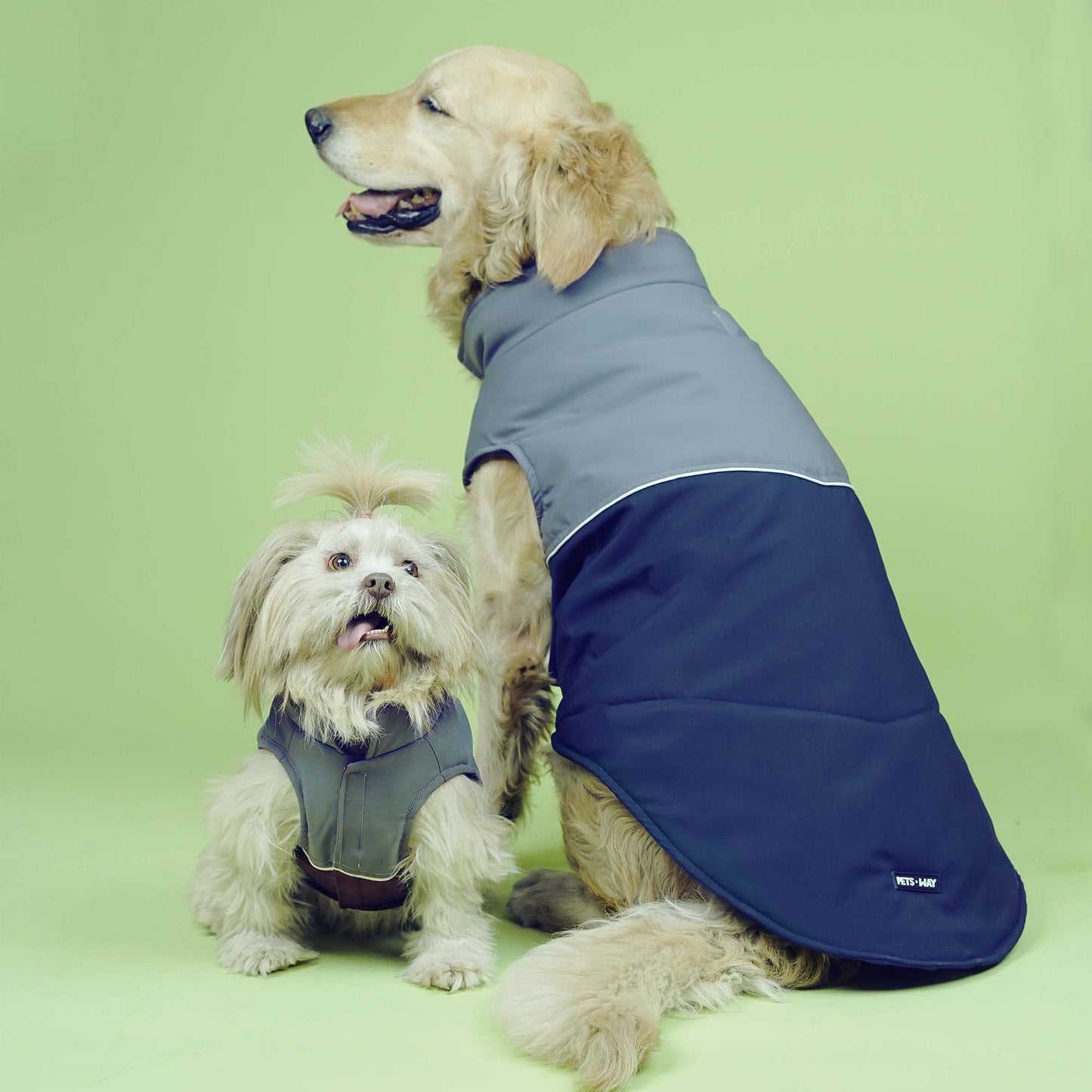 Frost- Wine Dog Jacket