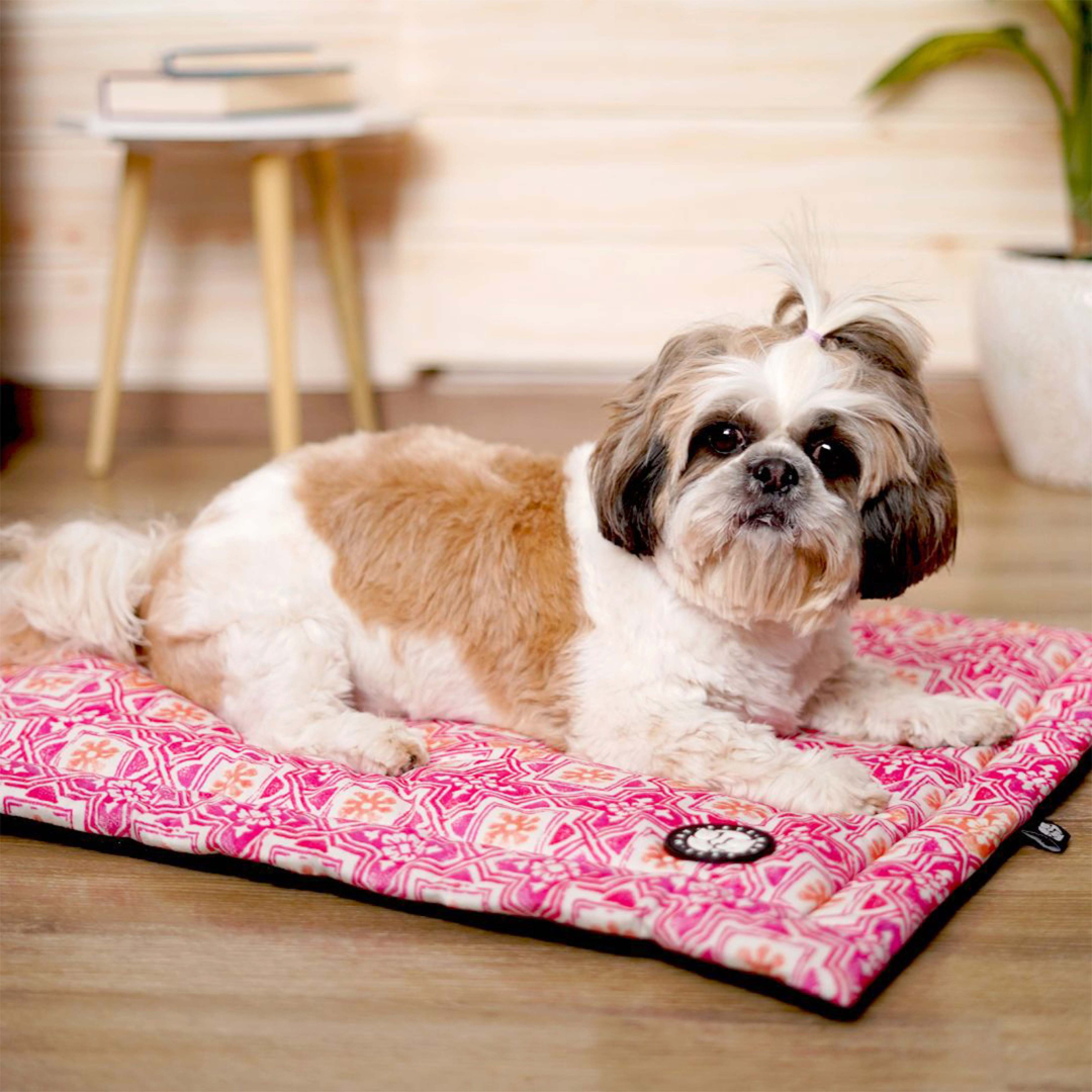 Jaipur Mat for Dogs – Stylish & Comfortable Dog Sleeping Mat