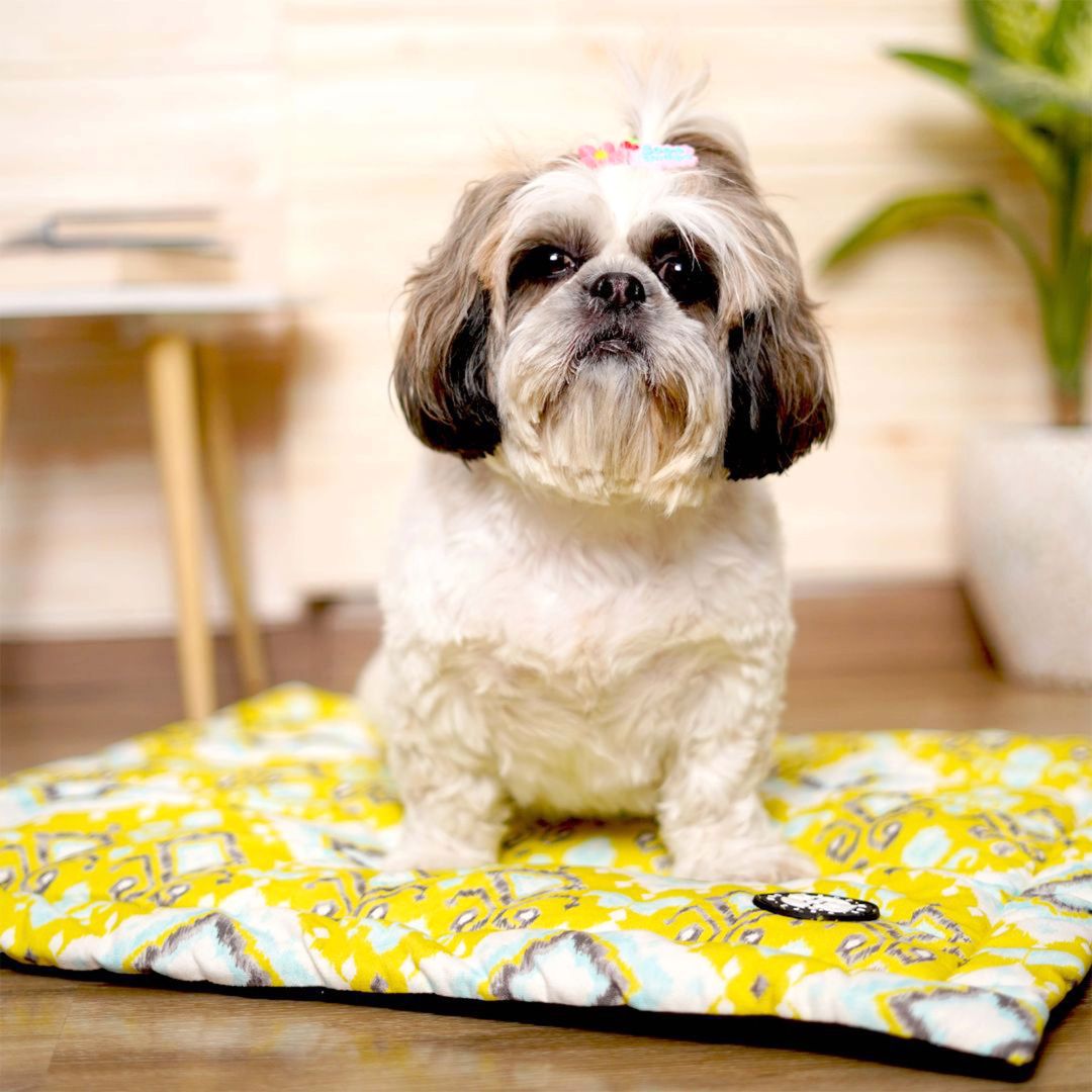 Tana Bana - Corn Mat: Stylish & Comfortable Dog Mat