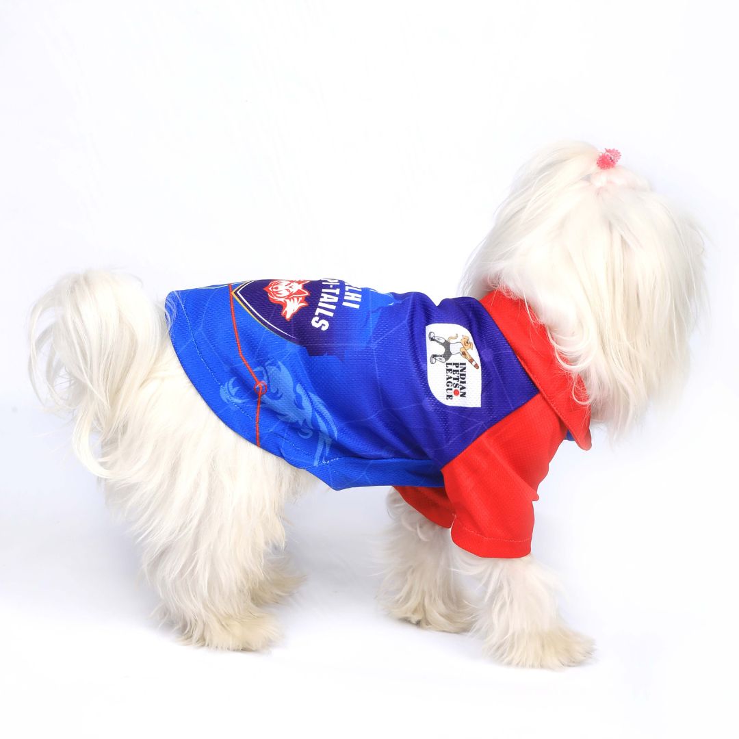 DC IPL Dog Jersey - Delhi Capitails
