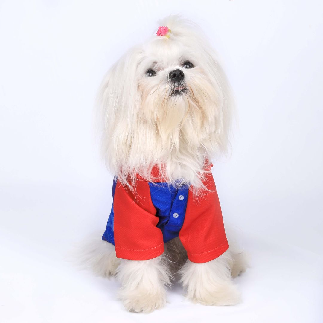 DC IPL Dog Jersey - Delhi Capitails