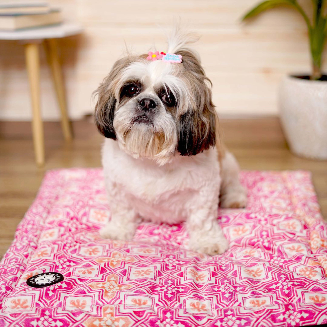 Jaipur Mat for Dogs – Stylish & Comfortable Dog Sleeping Mat