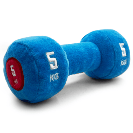 Goofy Tails Gym Series Dumbbell Plush Toy for Dogs (Blue)