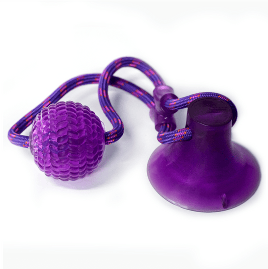Basil Silicon Vacuum Cup with Rope & Ball Toy for Dogs and Cats | For Medium Chewers