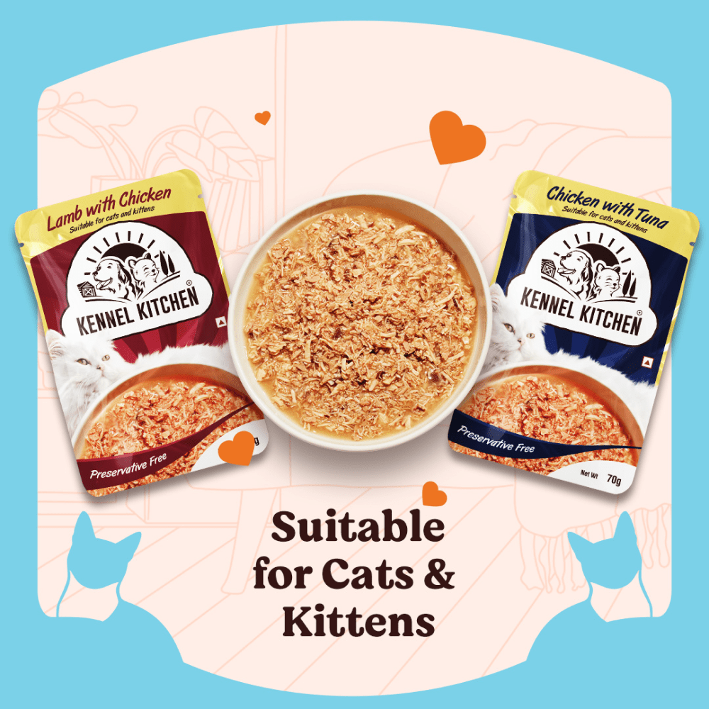 Kennel Kitchen Lamb with Chicken Shreds in Gravy Kitten and Adult Cat Wet Food (All Life Stage)