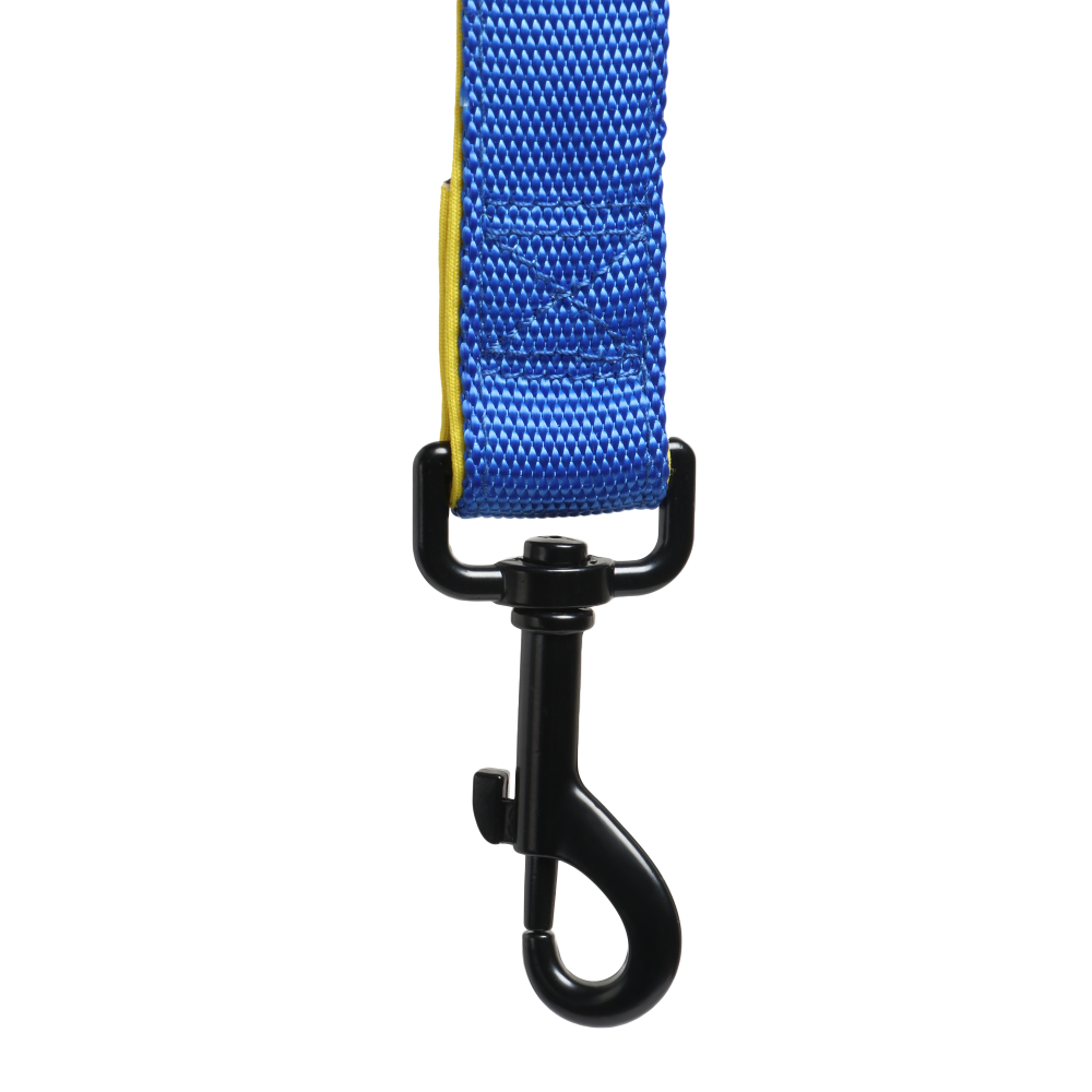 Basil Nylon Padded Leash for Dogs (Blue)
