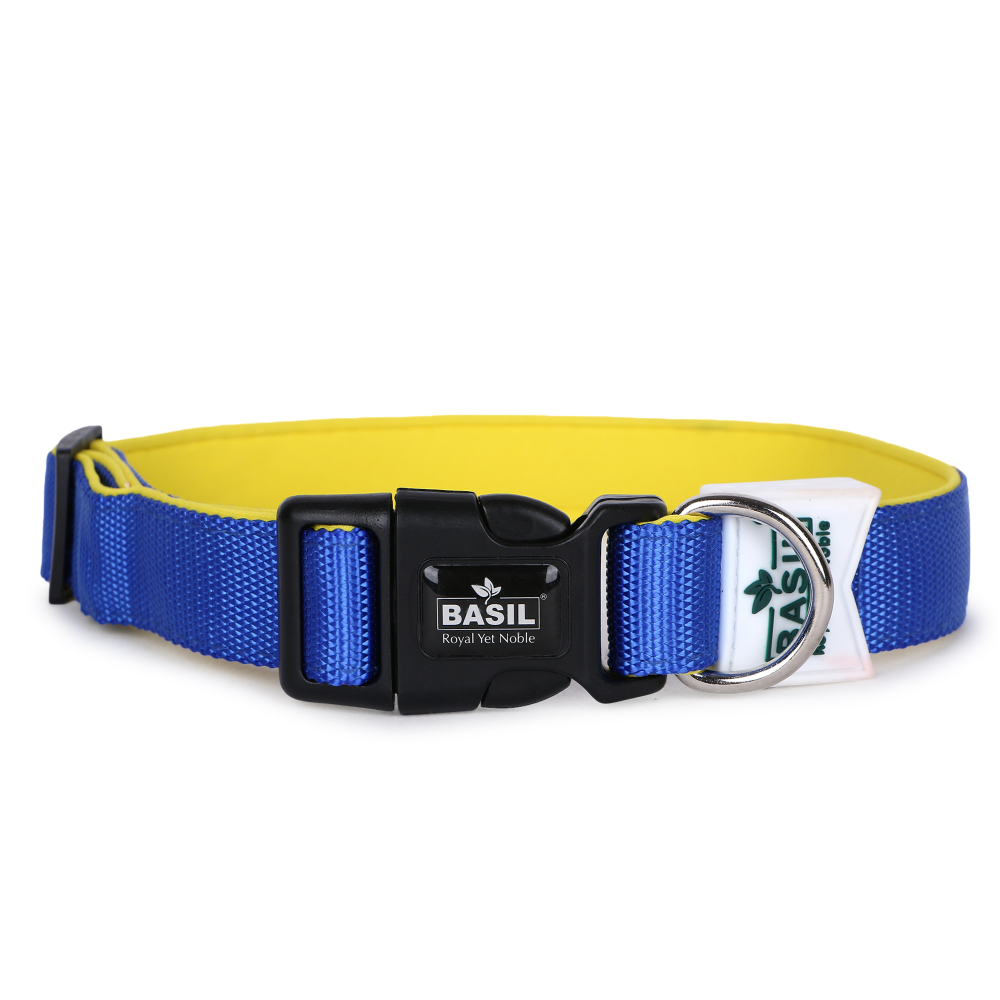 Basil Nylon Padded Collar for Dogs (Blue)