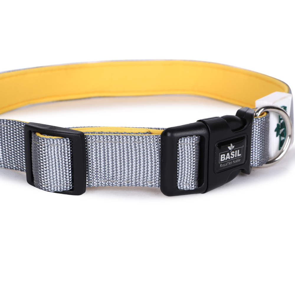 Basil Nylon Padded Collar for Dogs (Black)