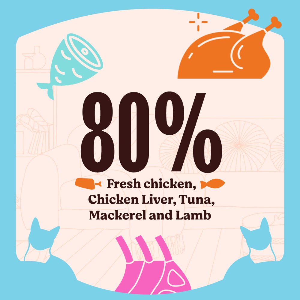 Kennel Kitchen Lamb with Chicken Shreds in Gravy Kitten and Adult Cat Wet Food (All Life Stage)