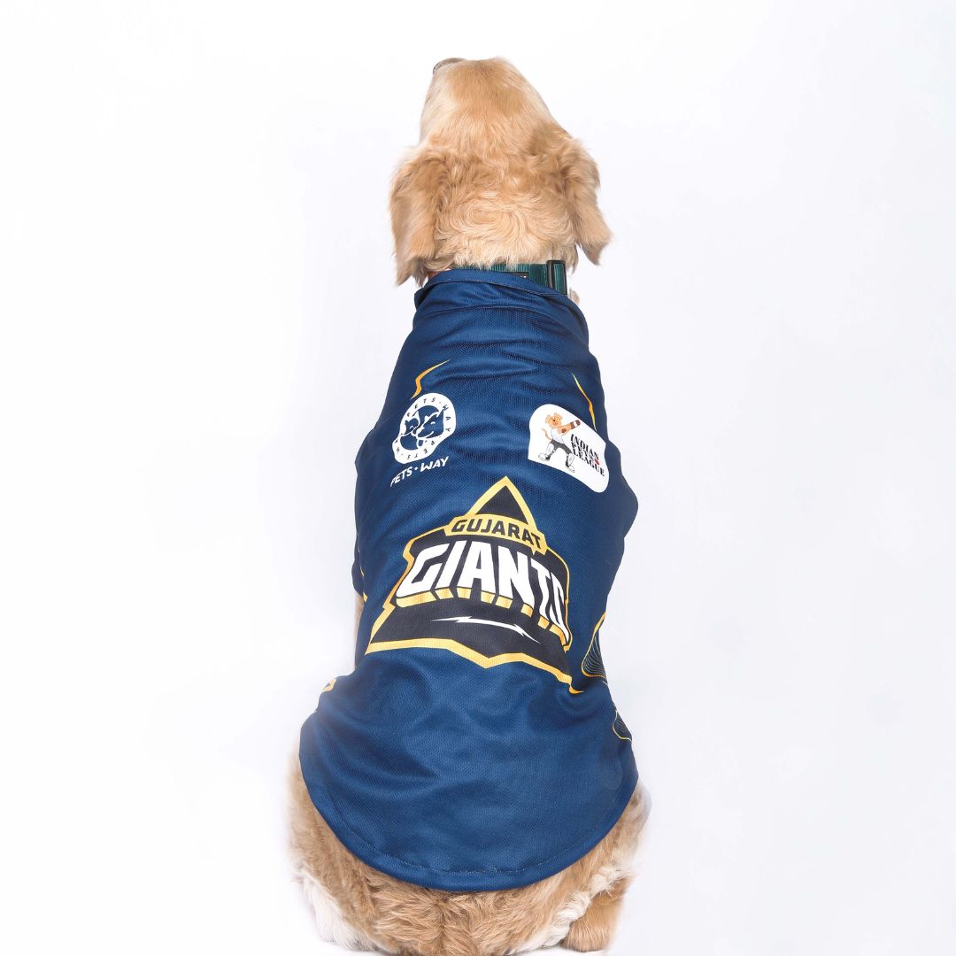 Gujarat Giants GT IPL Dog Jersey