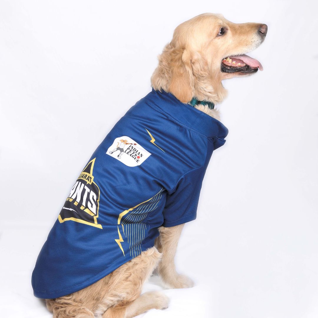 Gujarat Giants GT IPL Dog Jersey