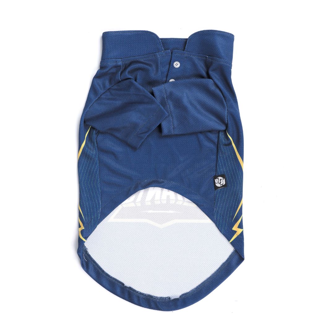 Gujarat Giants GT IPL Dog Jersey