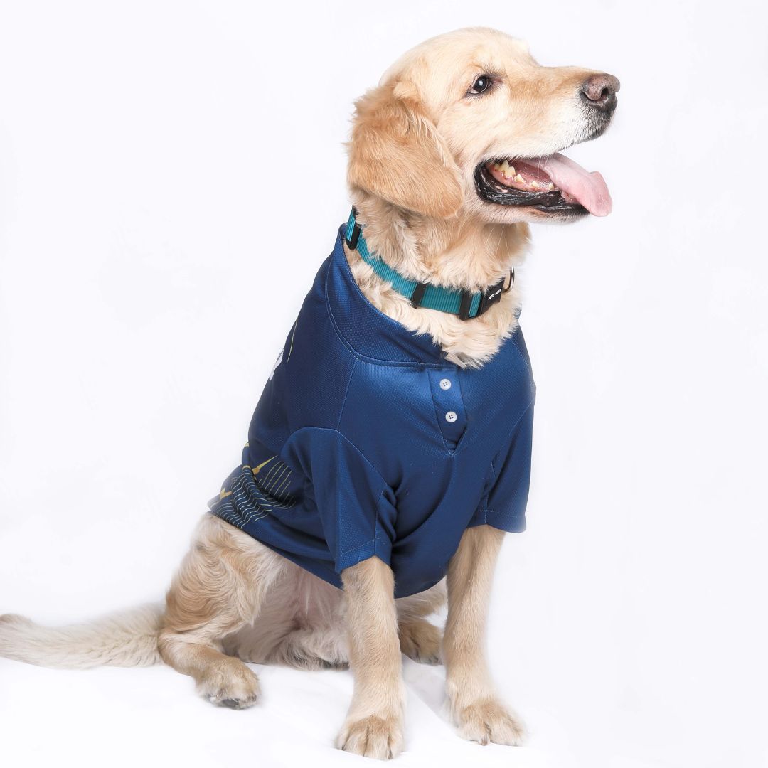 Gujarat Giants GT IPL Dog Jersey