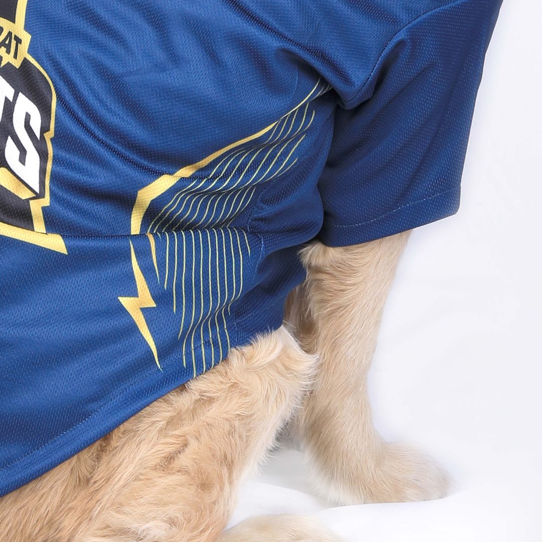 Gujarat Giants GT IPL Dog Jersey