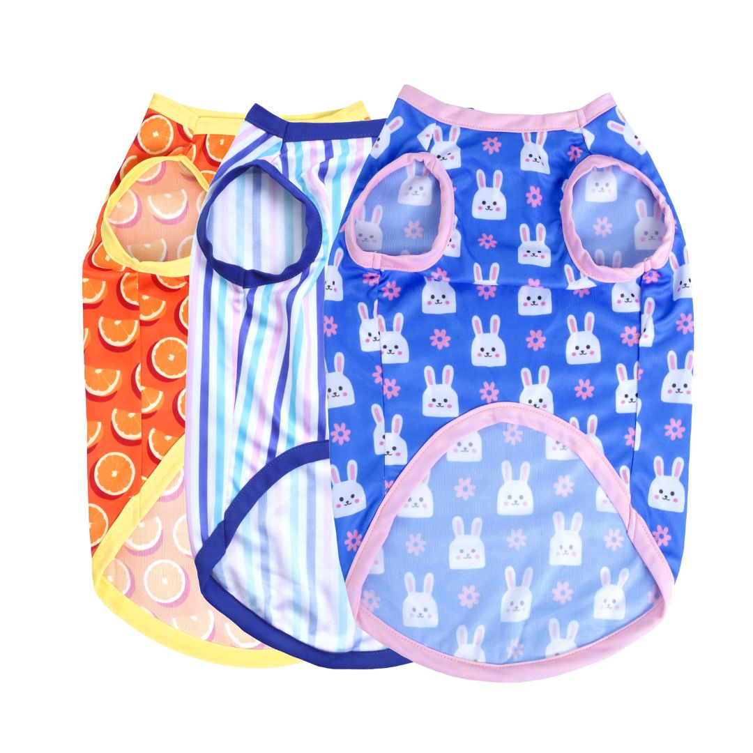 Happy Dog Vest Combo