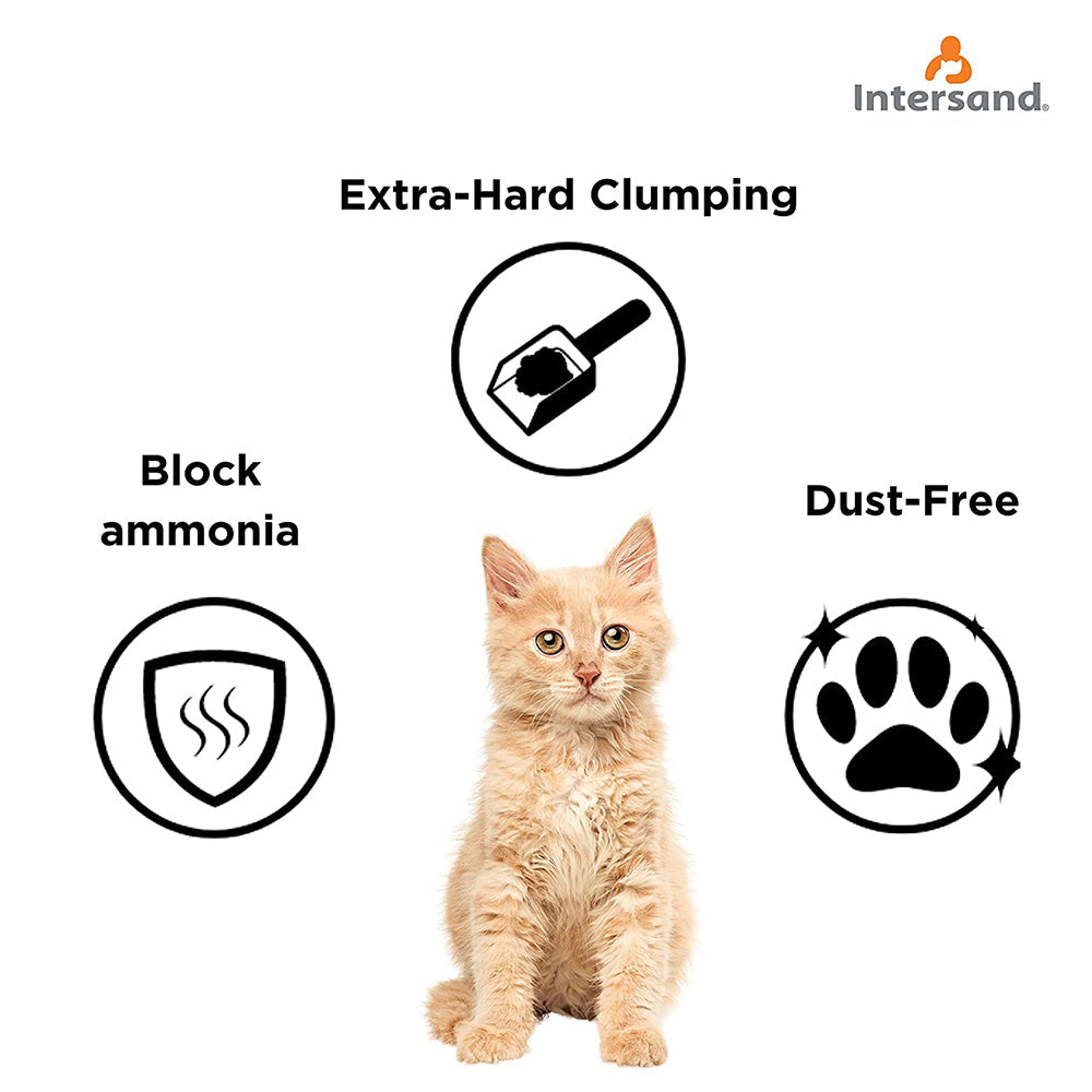 Intersand Cat Exclusive Scoopable Clumping Cat Litter - 10 kg