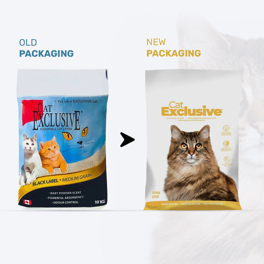 Intersand Cat Exclusive Scoopable Clumping Cat Litter - 10 kg
