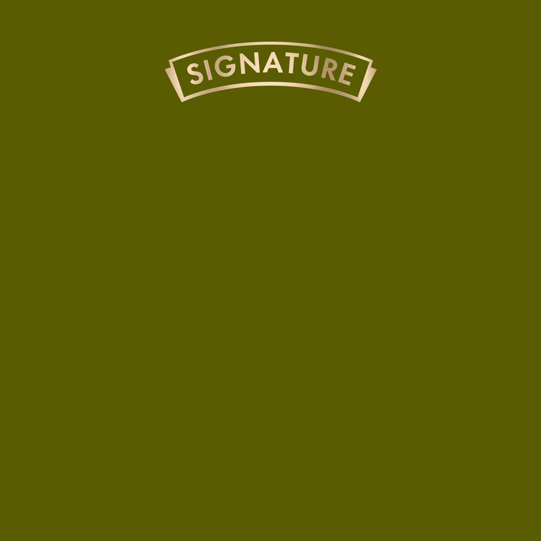 Signature Grain Zero Adult Dry Cat Food (All Breed Formula)