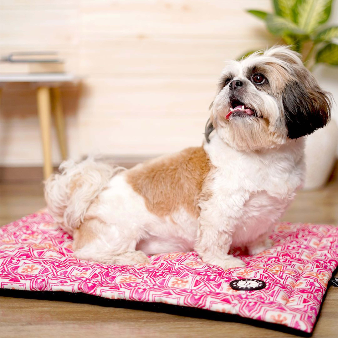 Jaipur Mat for Dogs – Stylish & Comfortable Dog Sleeping Mat