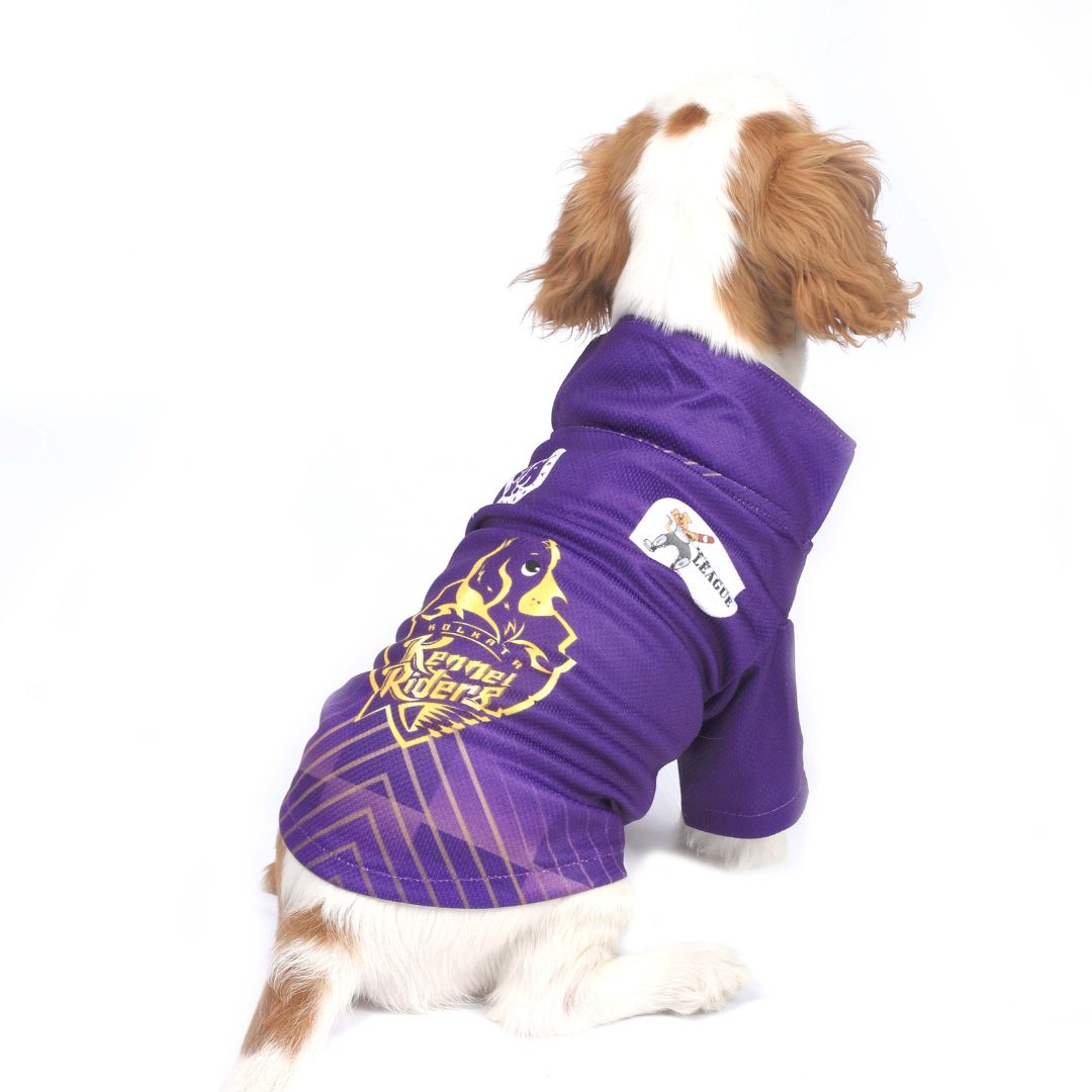 Kolkata Kennel Riders-KKR IPL Dog Jersey