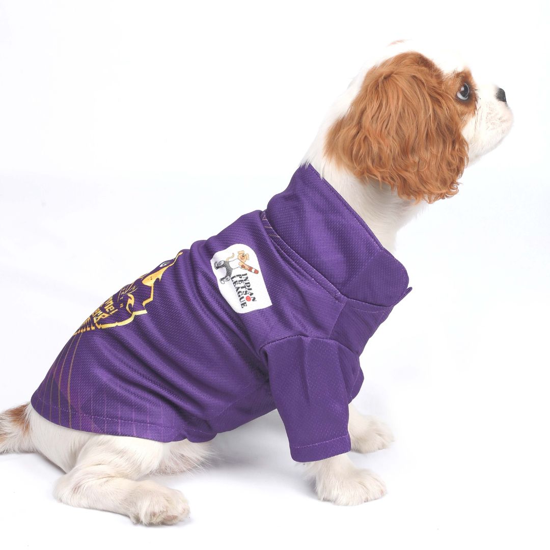 Kolkata Kennel Riders-KKR IPL Dog Jersey