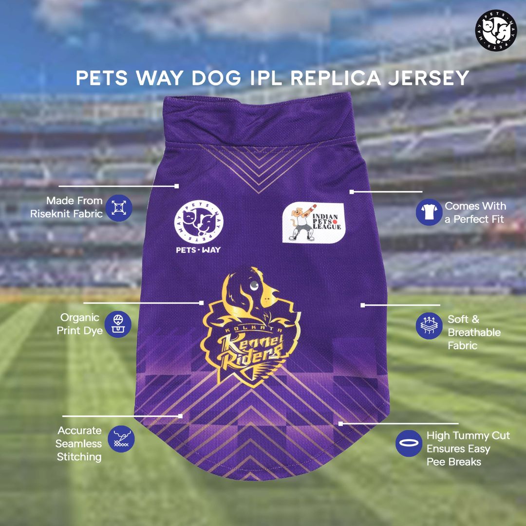 Kolkata Kennel Riders-KKR IPL Dog Jersey