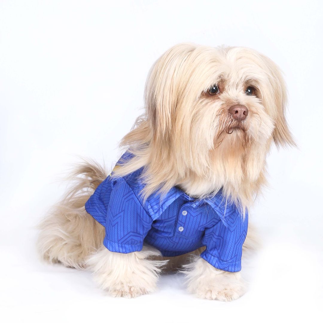 Mumbai Indies - MI IPL Dog Jersey