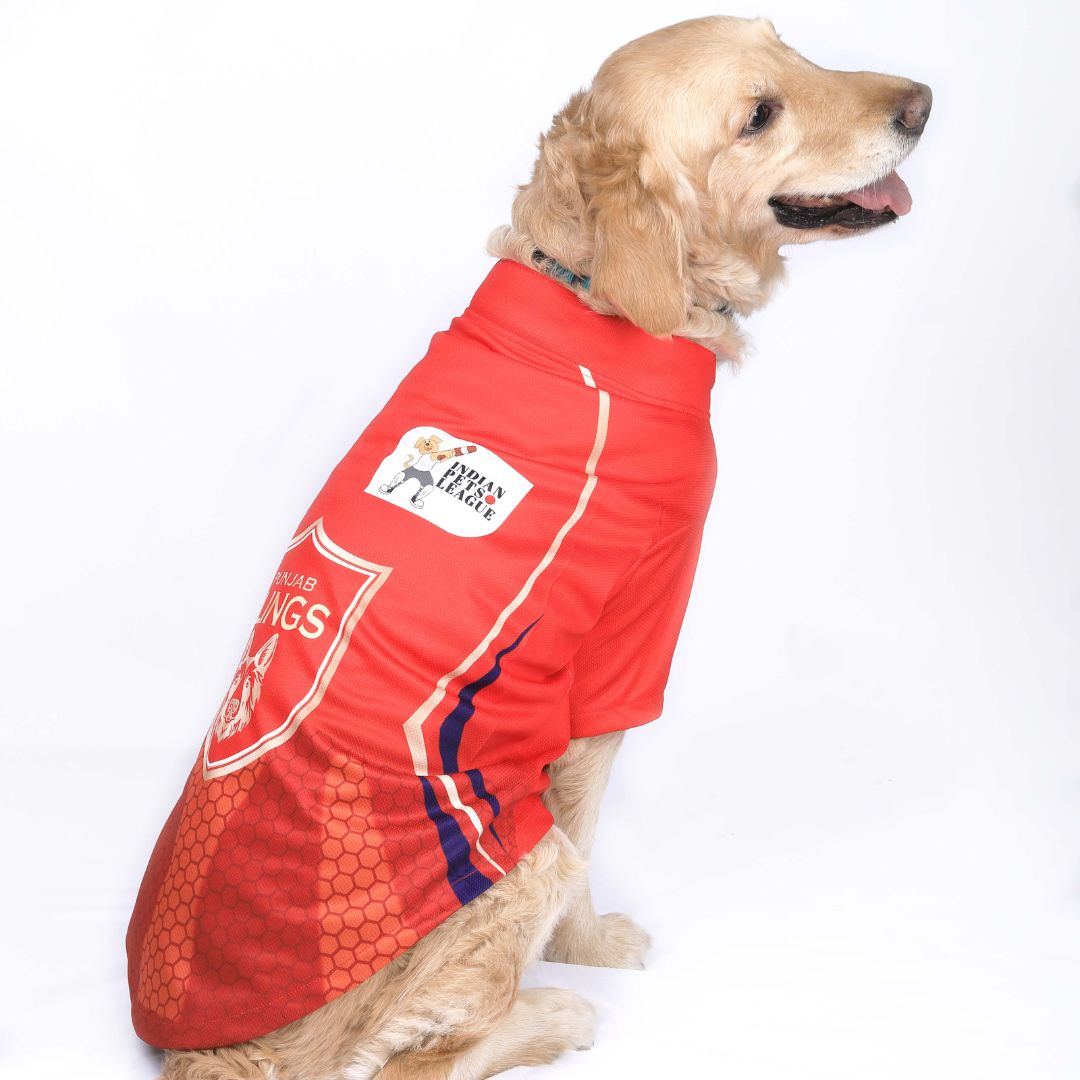 Punjab Clings (PBK) IPL Dog Jersey