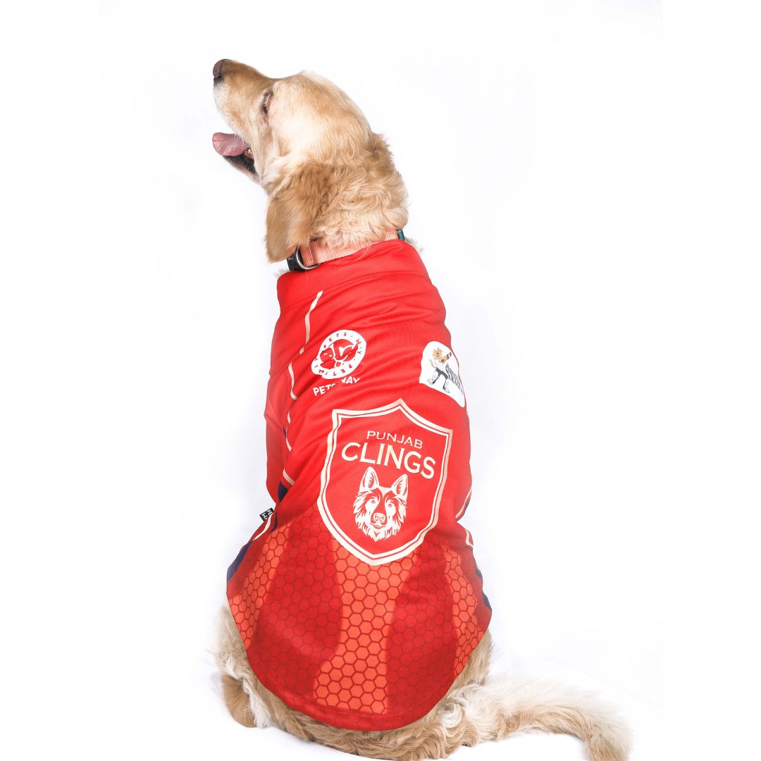Punjab Clings (PBK) IPL Dog Jersey