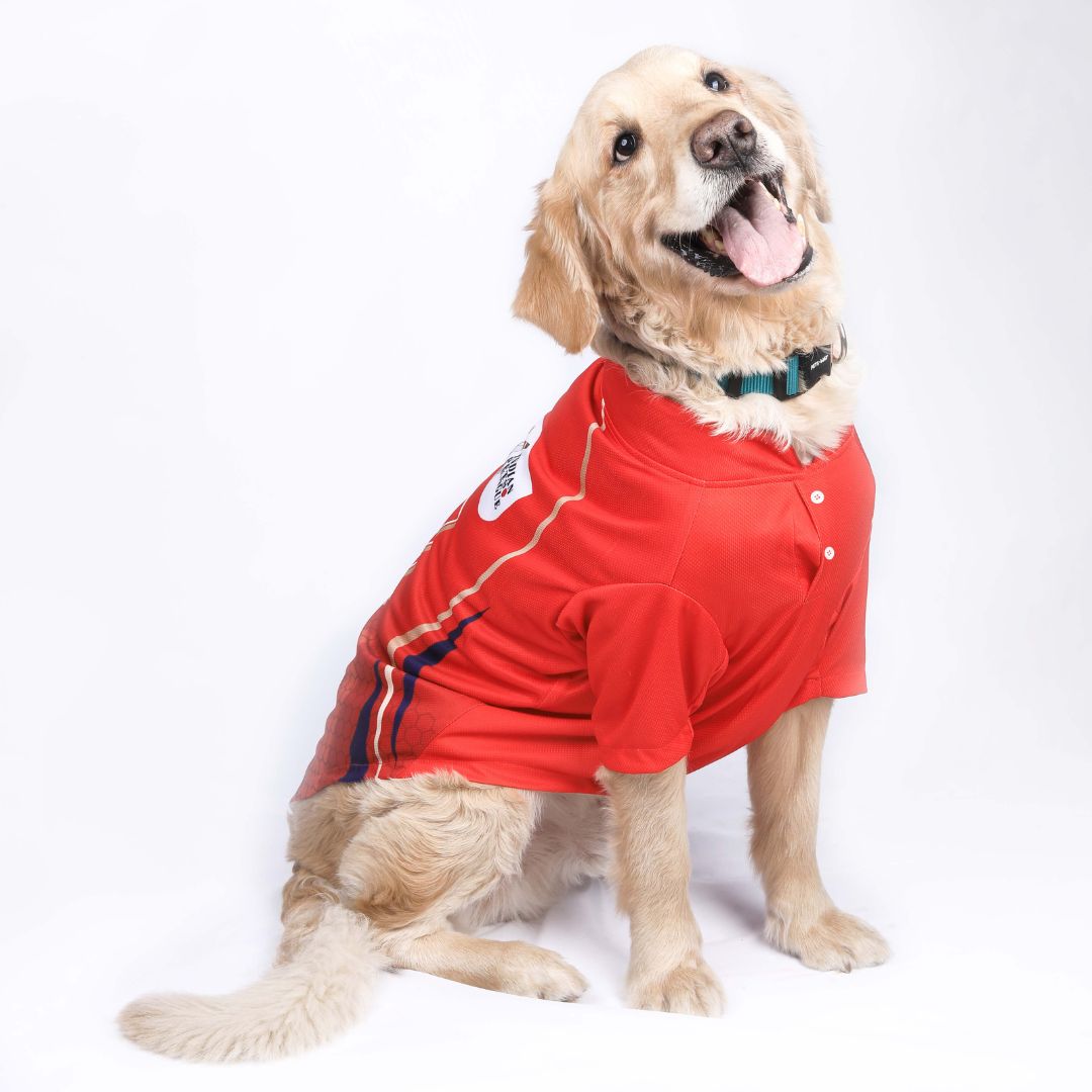 Punjab Clings (PBK) IPL Dog Jersey