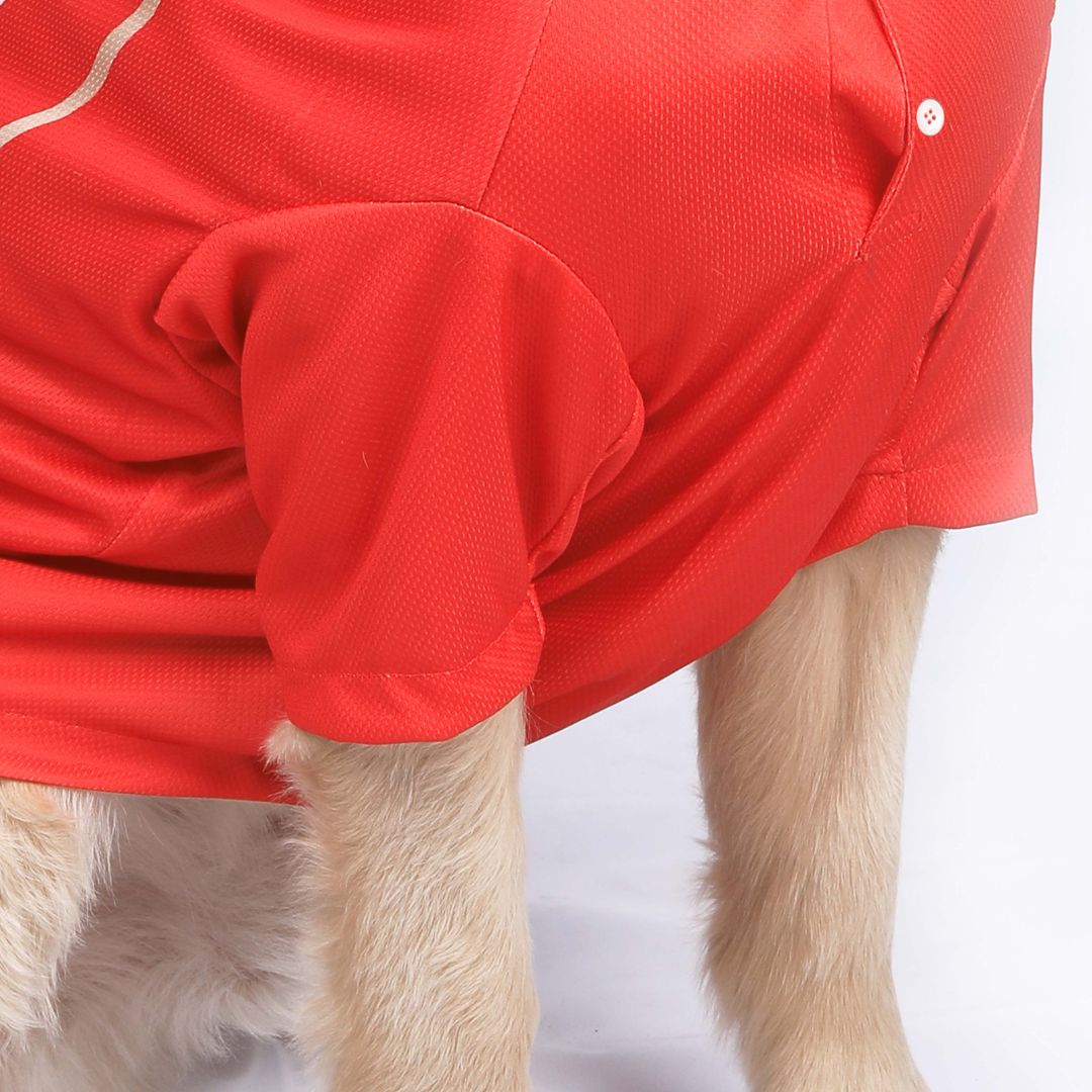Punjab Clings (PBK) IPL Dog Jersey