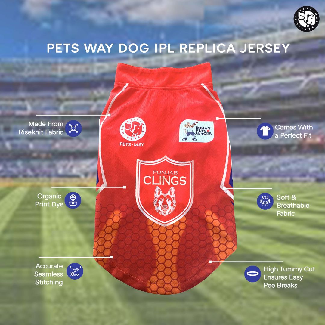 Punjab Clings (PBK) IPL Dog Jersey