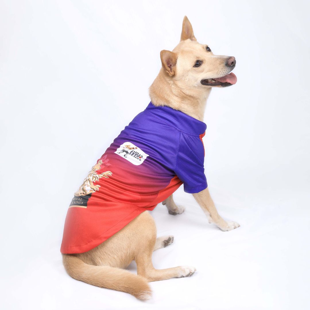 Royal Canines Bengaluru-RCB IPL Dog Jersey