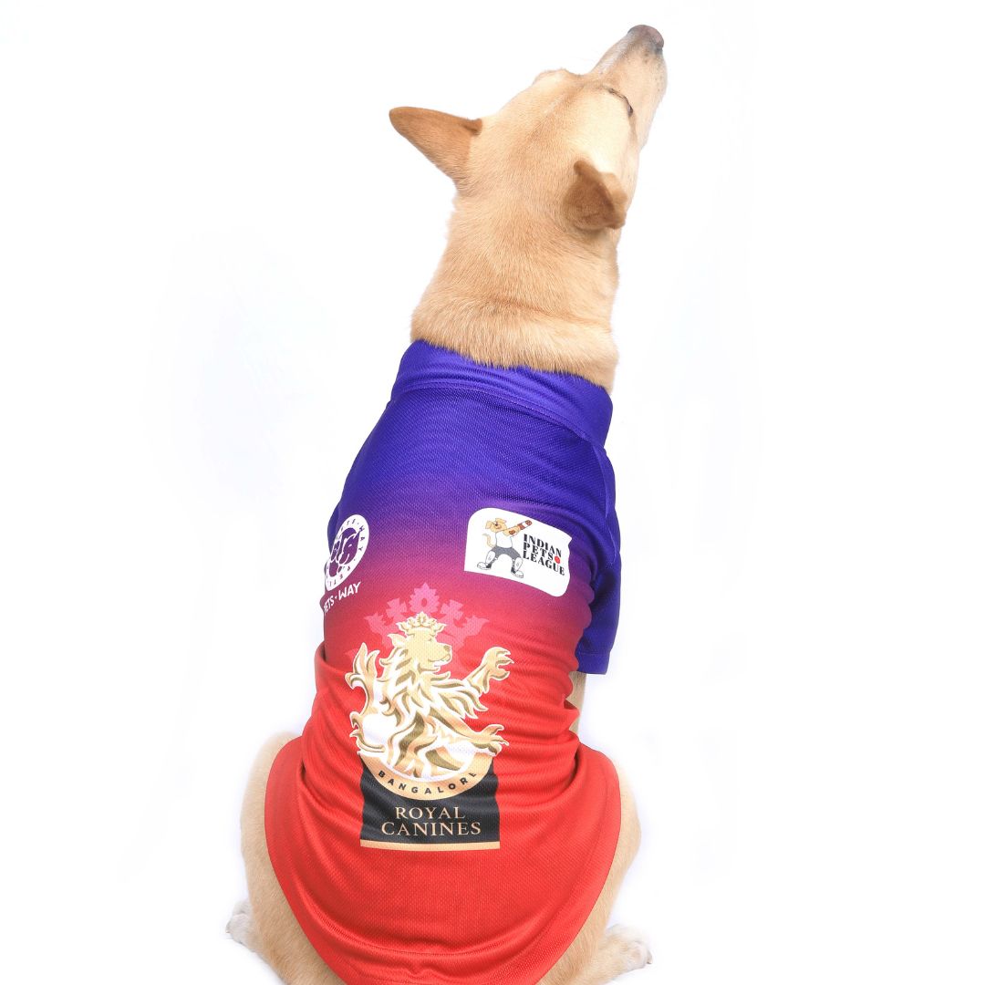 Royal Canines Bengaluru-RCB IPL Dog Jersey