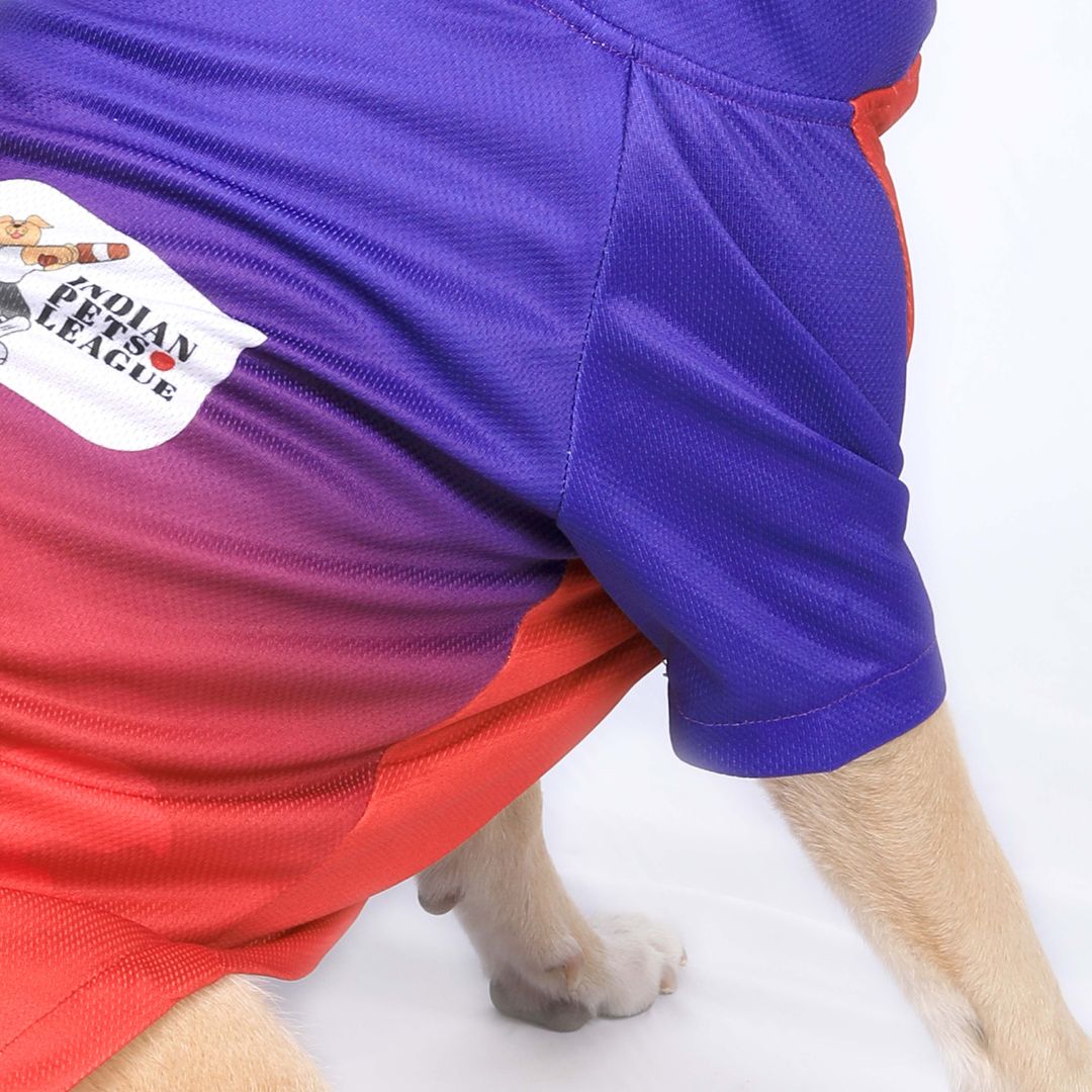 Royal Canines Bengaluru-RCB IPL Dog Jersey