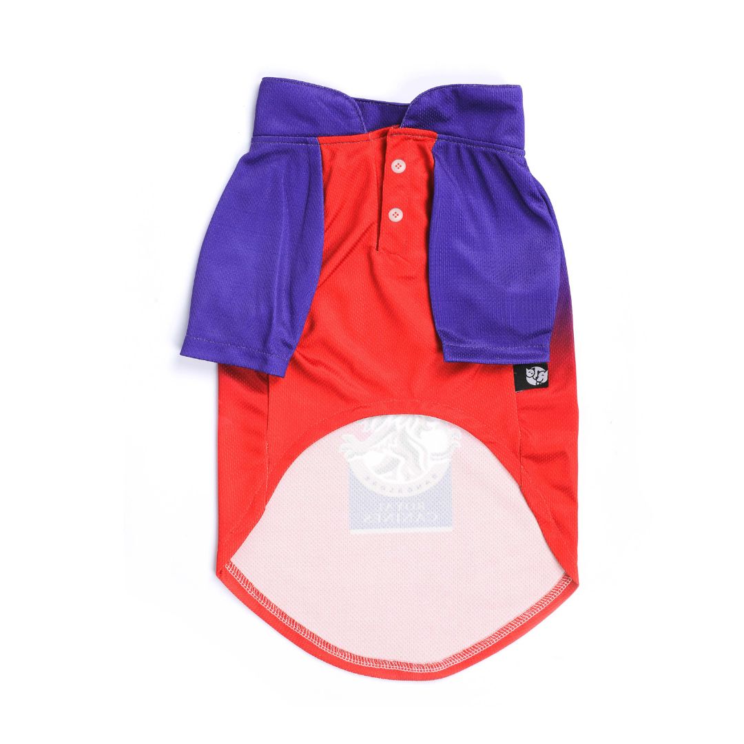 Royal Canines Bengaluru-RCB IPL Dog Jersey