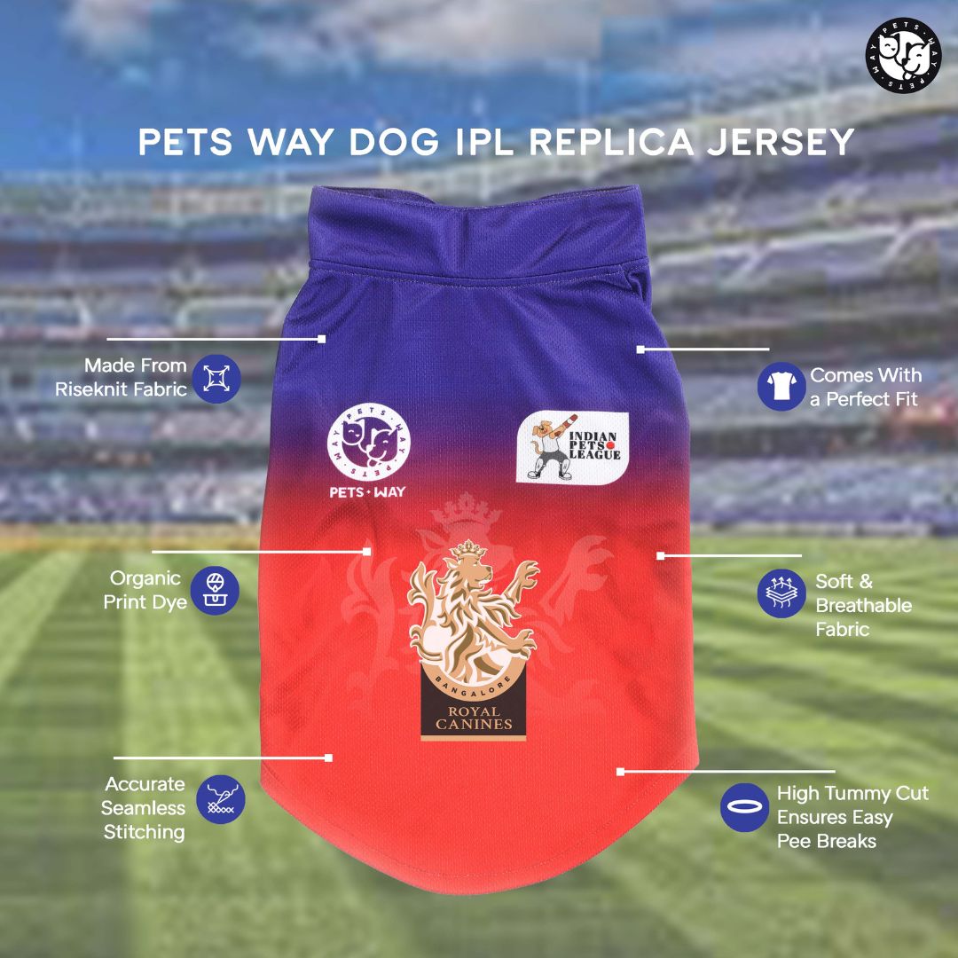 Royal Canines Bengaluru-RCB IPL Dog Jersey