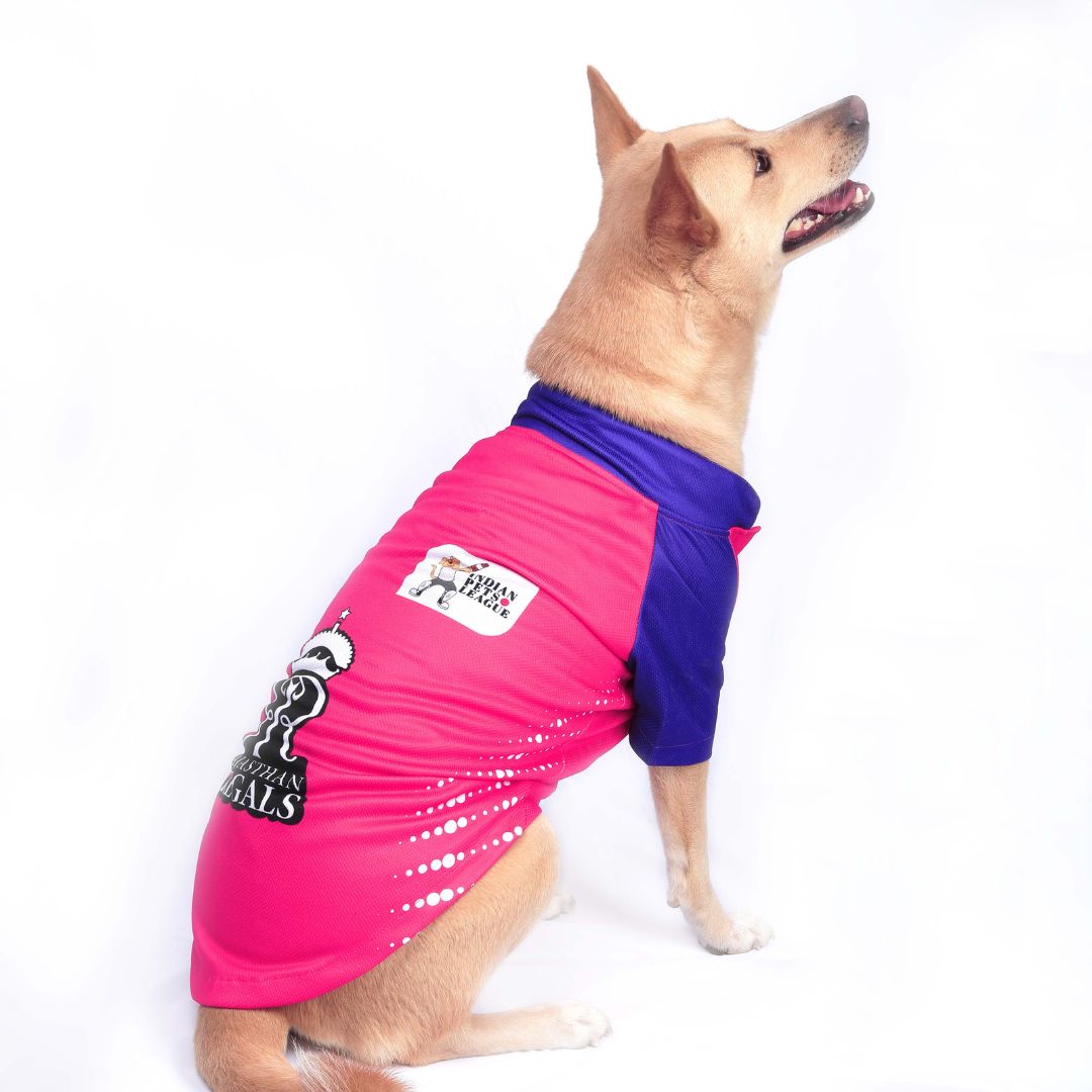 Rajasthan Regals - RR IPL Dog Jersey