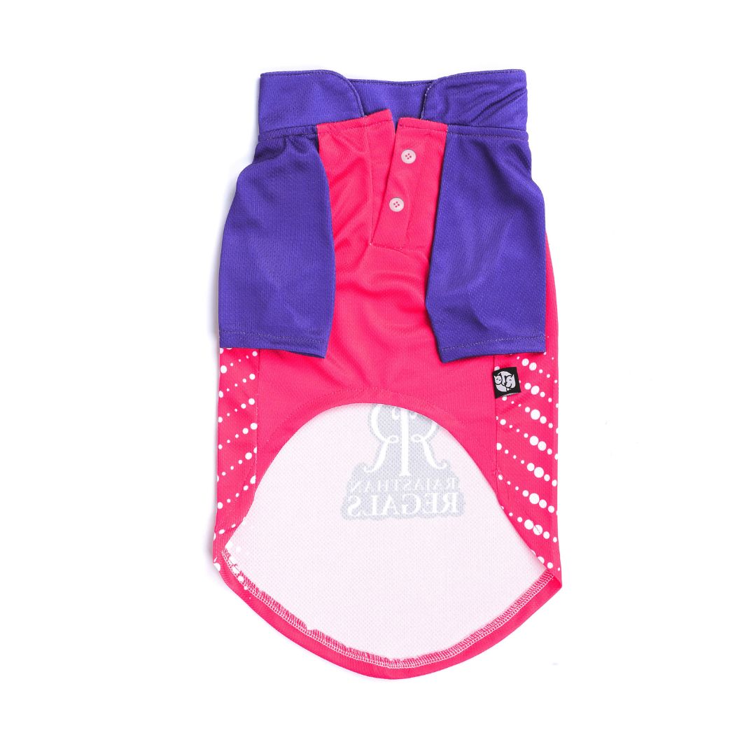 Rajasthan Regals - RR IPL Dog Jersey
